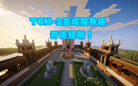 如何为我的Minecraft服务器挑选一个吸引人的名字？