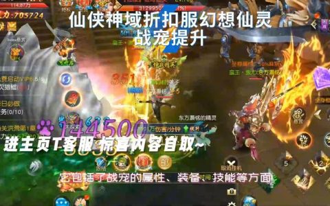 仙侠神域常规服究竟指的是什么类型的服务器？