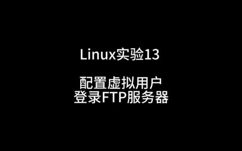 登录该ftp服务器_FTP