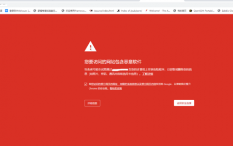 打开网站 输入内容存在危险字符_“网站内容”要求