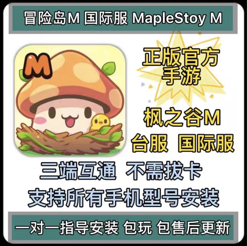 冒险岛m全球服有什么服务器