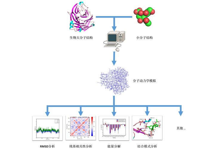 动力服务器_分子动力学模拟