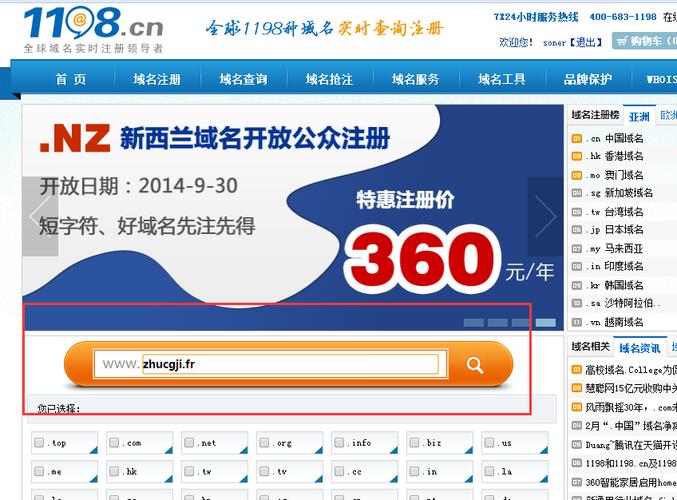 法国网站域名_域名网站检测