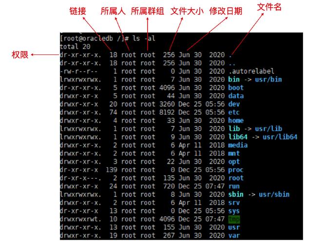 ftp上传linux服务器文件夹权限_文件上传/数据传输