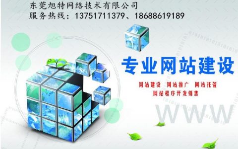 东莞长安网站设计_设计中心