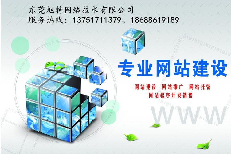 东莞长安网站设计_设计中心