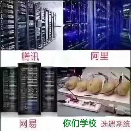 恐龙岛主播大宝在什么服务器