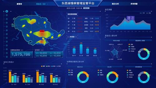 大数据档案管理_家庭医生基础健康管理服务