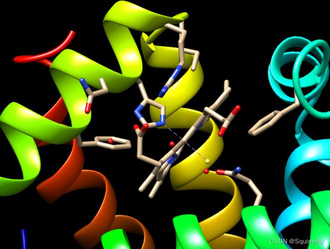 分子立体模型网站_分子对接