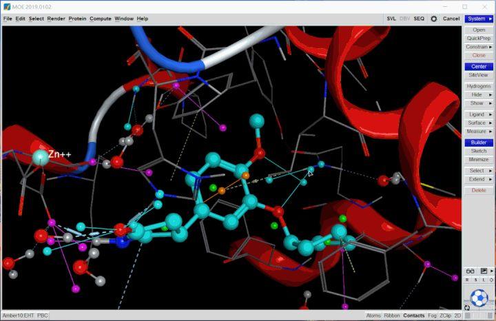 分子立体模型网站_分子对接
