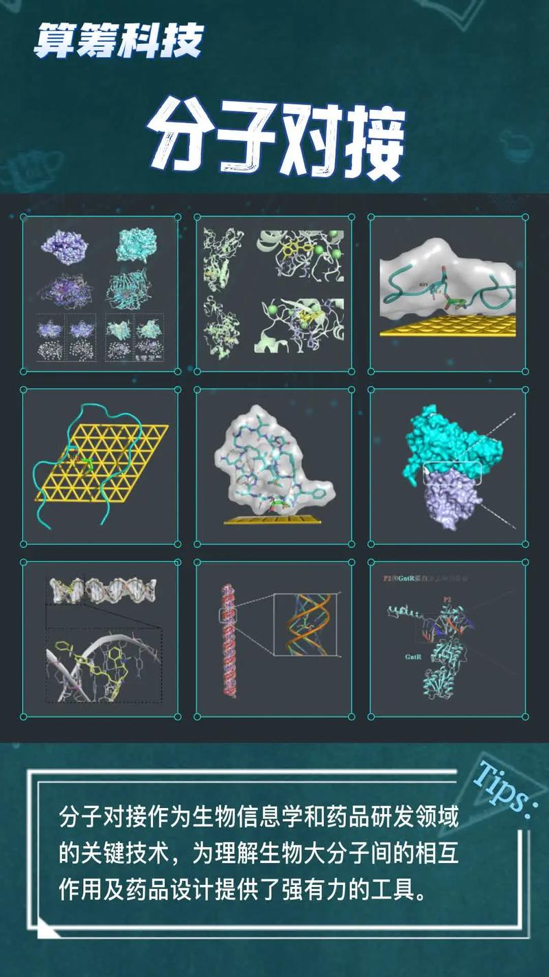 分子立体模型网站_分子对接