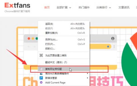 复制网站网址代码_启用百度主动推送操作指导