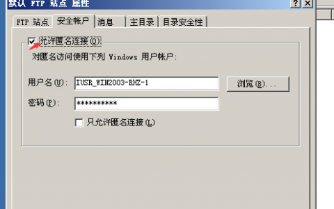 ftp服务器的叙述_FTP