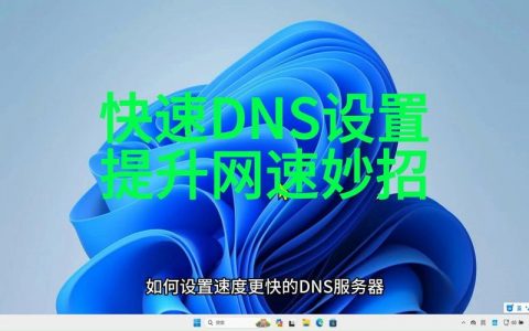 DNS服务器上主要放着主机_修改DNS服务器