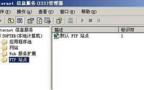 电脑连接 ftp服务器_FTP/SFTP连接