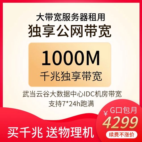 大带宽服务器_带宽