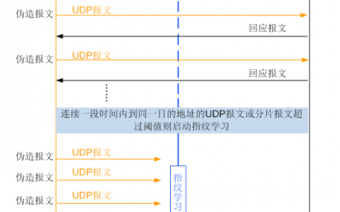 防攻击服务_协议防攻击
