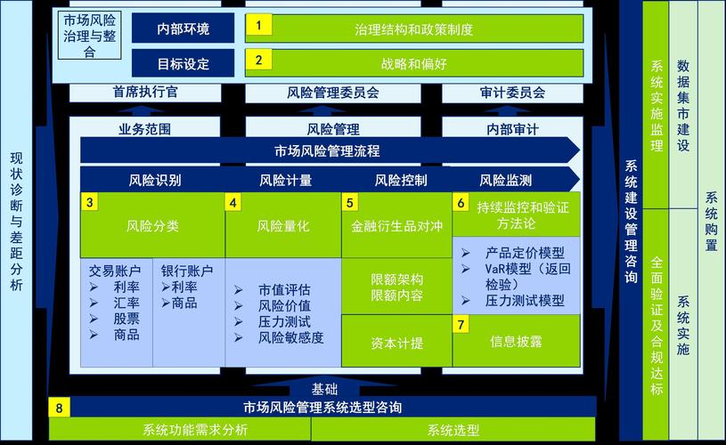 大数据风险管理_管理风险（可选）