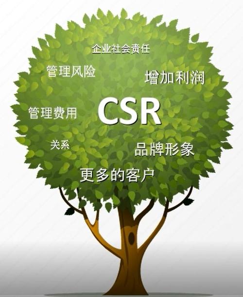 封装自己的虚拟机系统_系统生成的CSR和自己生成CSR的区别？