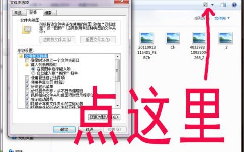 服务器看缩略图怎么看_缩略图下载