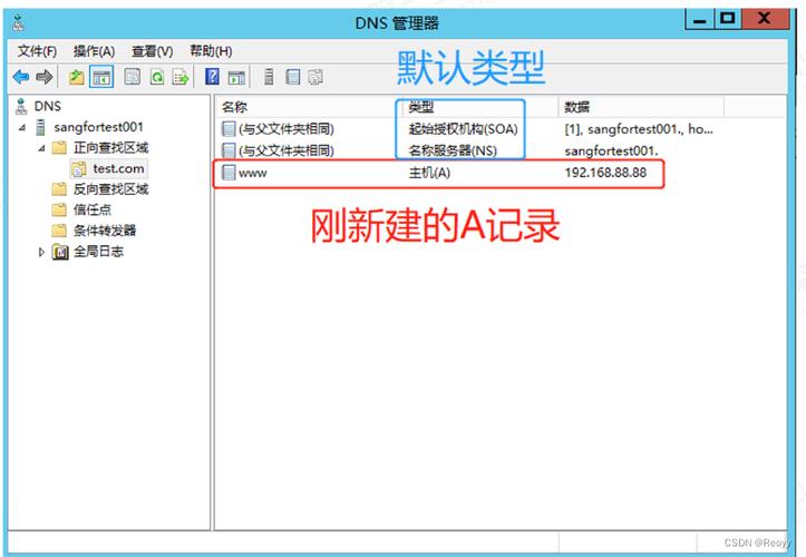 dns服务器性能配置_配置DNS