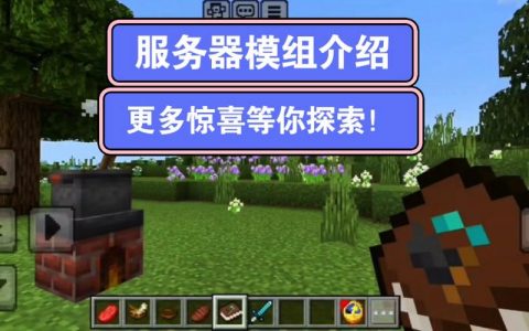 服务器mod_MOD