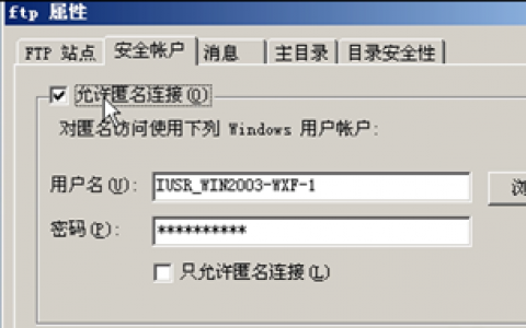 ftp服务器与网络安全_账号与网络安全