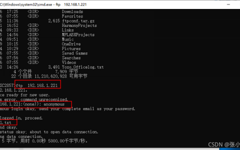 ftp服务器 代码_FTP