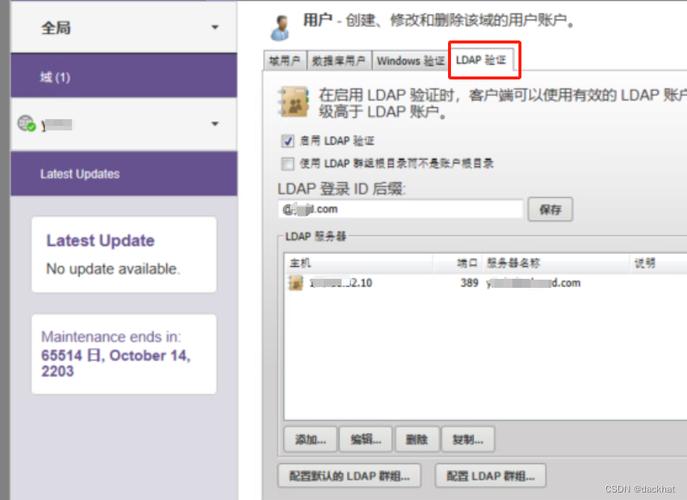 dns主从服务器_配置ldap主从