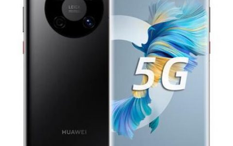 华为Mate 40手机使用的是哪种服务器技术？