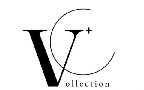 戴跃vc域名_可验证凭证(VC)管理