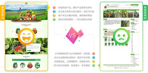 番禺网站开发公司_入门前必读