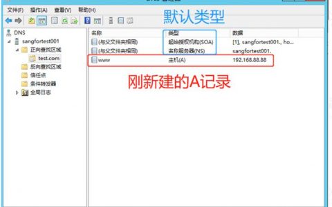 dns服务器配置实验_配置DNS