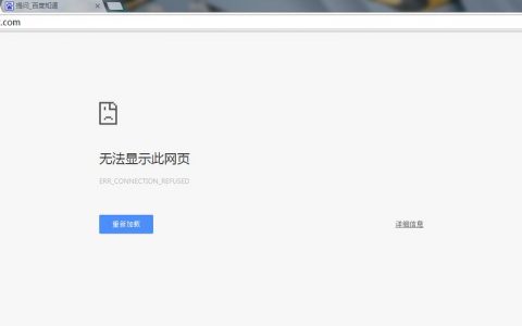 指令导致服务器崩溃，这究竟意味着什么？
