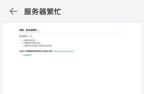 把服务器崩掉的指令是什么意思