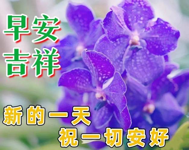 发员工关怀短信的系统_配置短信外发