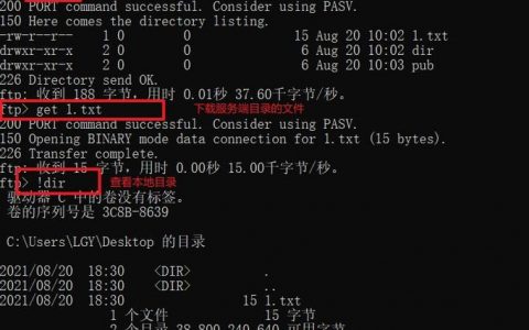ftp连服务器命令_FTP
