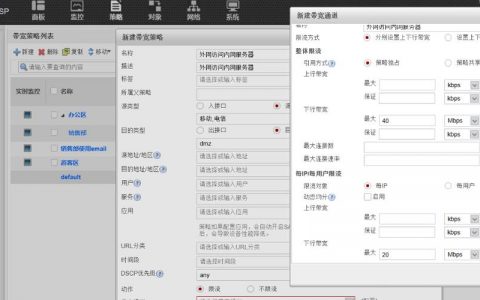 服务器网站带宽_如何查看防护网站的入带宽和出带宽信息？