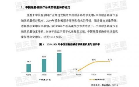 服务器市场调研报告_查询报告