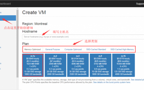 法国 vps_方案概述