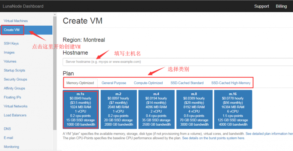 法国 vps_方案概述