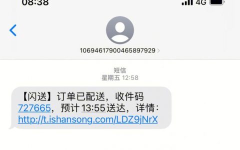 如何选择适合闪送服务的高效服务器？