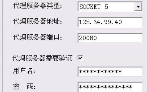在线代理服务器网址的含义是什么？