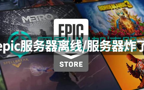 Epic游戏平台使用代理服务器的目的是什么？