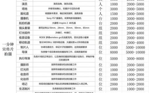 flash 网站 收费_如何收费