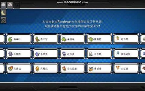 叶枫的神秘宝贝服务器究竟隐藏了哪些密码？