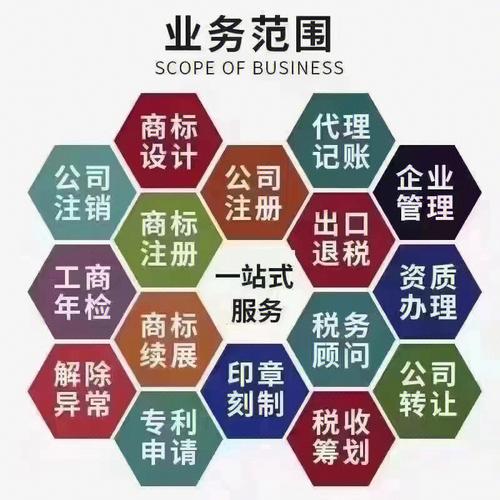 代理记账记账_获取当前租户的资产账本信息