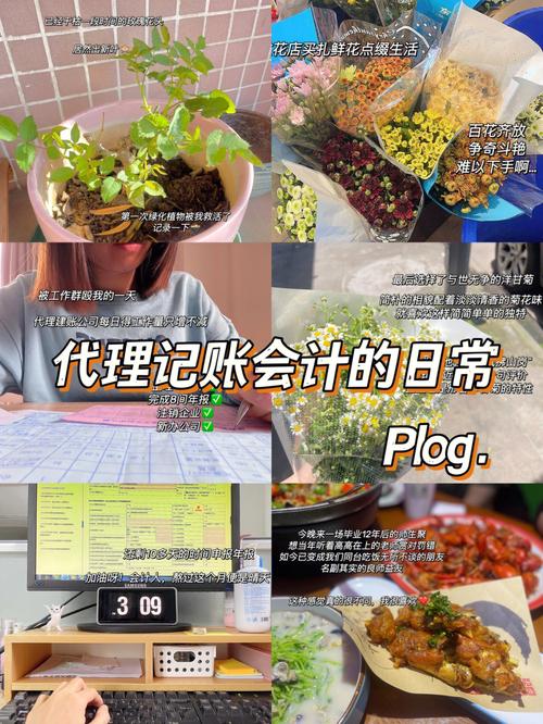 代理记账记账_获取当前租户的资产账本信息