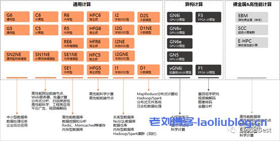 弹性云服务器的类型_数组类型的使用