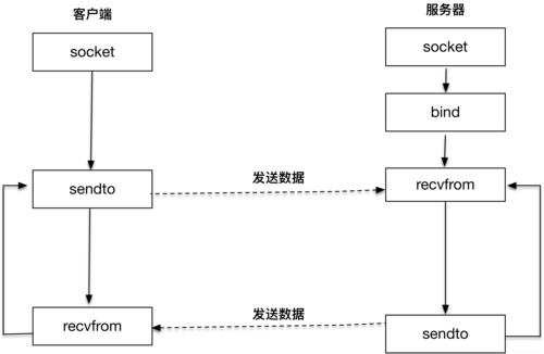 udp为什么有服务器和客户端